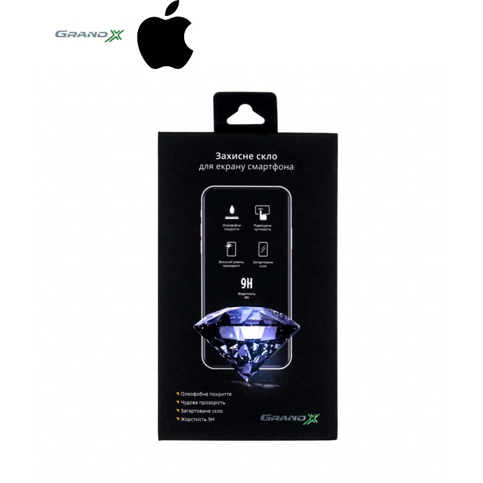 Стекло защитное Grand-X Apple iPhone 13 Pro Max black (CAIP13PMB)