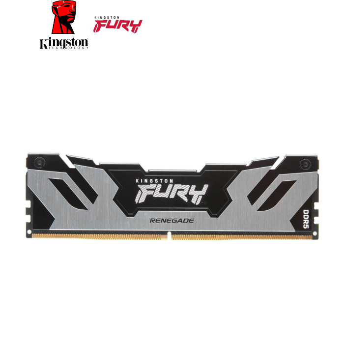 Модуль пам'яті для комп'ютера DDR5 48GB 6000 MHz Renegade Silver XMP Kingston Fury (ex.HyperX) (KF560C32RS-48)