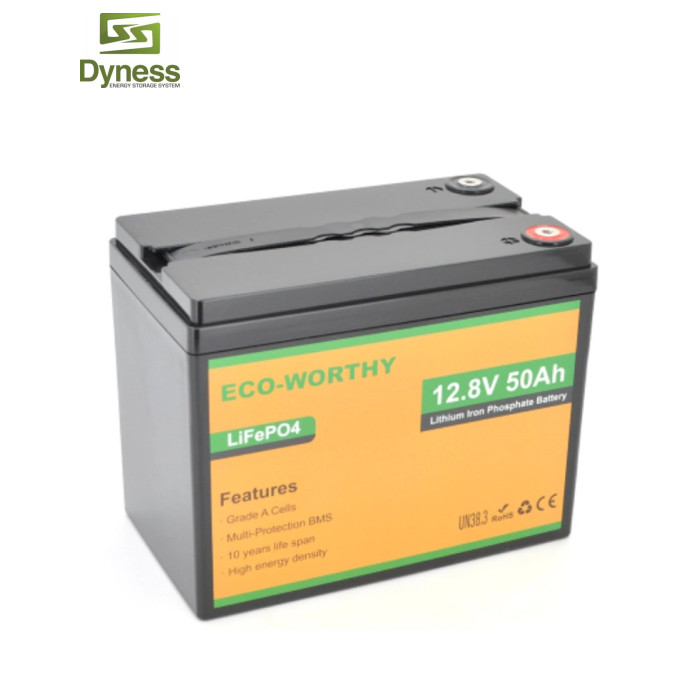 Батарея LiFePo4 Dyness 12,8V 50Ah (50/50A) (Eco-Worthy-1250)