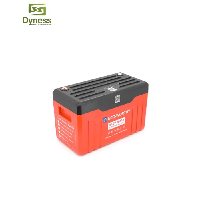 Батарея LiFePo4 Dyness 25,6V 100Ah (100/100A) (Eco-Worthy-251004)