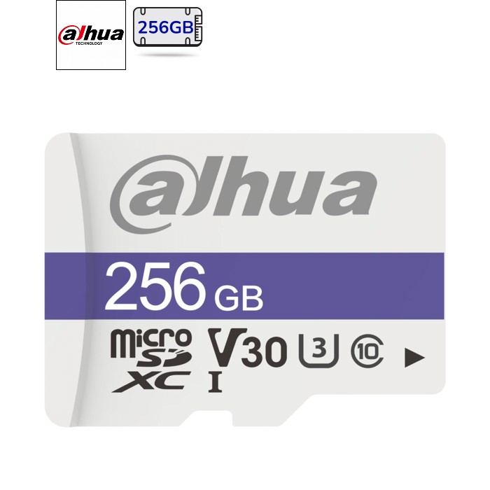 Карта пам'яті Dahua MicroSD 256 ГБ DHI-TF-C100 / 256GB